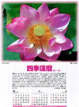 小林正観さん文：四季蓮ごよみ