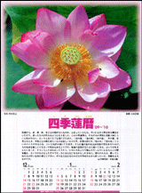 小林正観さん文：四季蓮ごよみ
