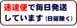 商品発送の詳細はこちら 
