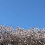 〜未来計画の真相〜　神人さん今日の一言より　2026/04/09