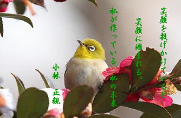 画像6: 小林正観さん言葉はがき集１　（10枚セット） (6)