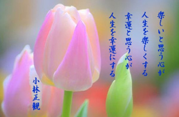 画像8: 小林正観さん言葉はがき集１　（10枚セット） (8)