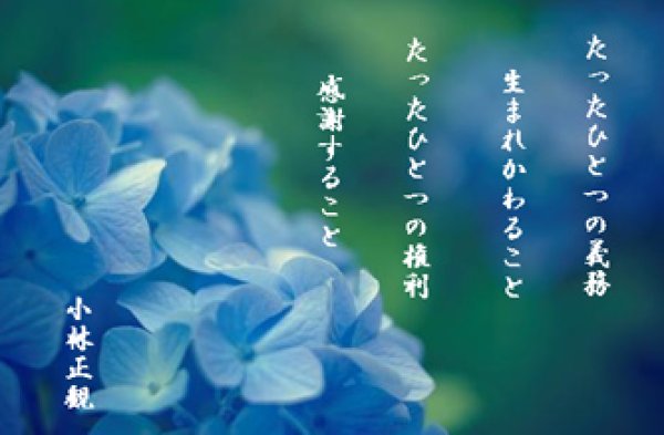 画像10: 小林正観さん言葉はがき集１　（10枚セット） (10)