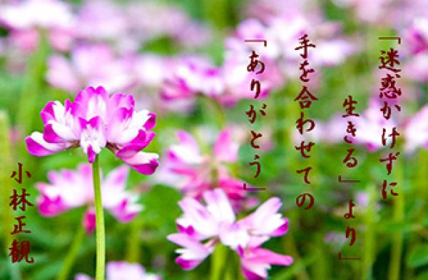 画像7: 小林正観さん言葉はがき集２　（10枚セット） (7)