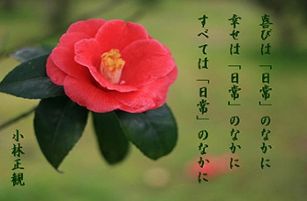 画像8: 小林正観さん言葉はがき集２　（10枚セット） (8)