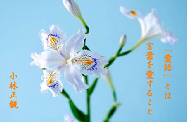 画像3: 小林正観さん言葉はがき集４　（10枚セット） (3)