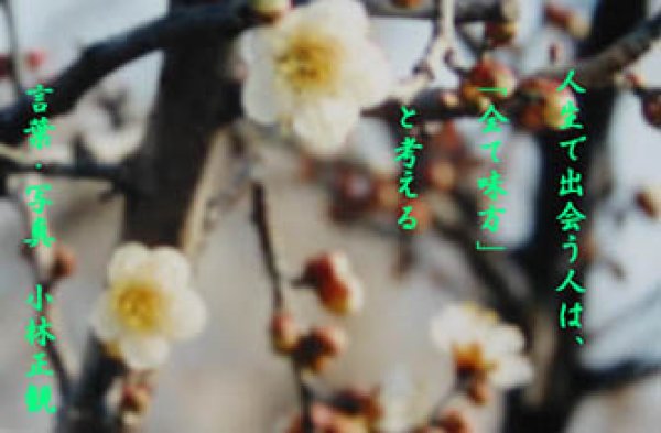 画像4: 小林正観さん言葉はがき集5(令和記念 12枚セット) (4)