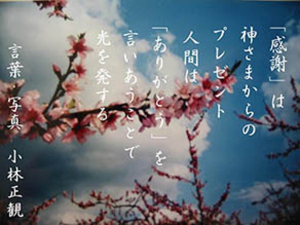 画像3: 小林正観さん言葉はがき集６ (3)