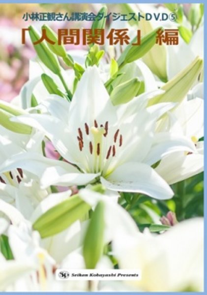 画像7: ダイジェストＤＶＤ　６本セット (7)