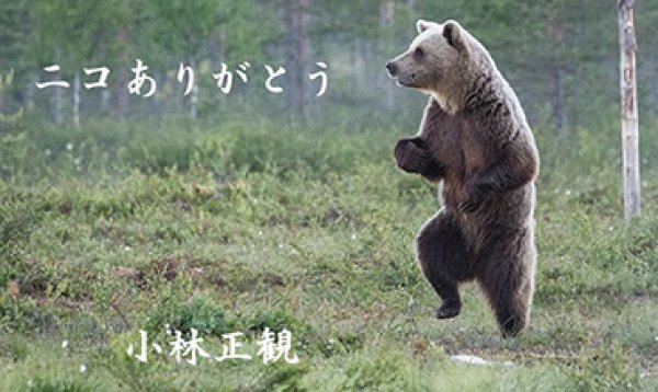 画像5: 小林正観さん言葉はがき集７ (5)