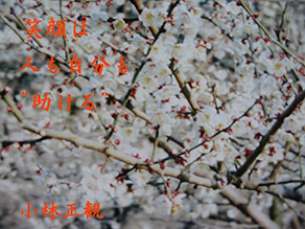 画像3: 小林正観さん言葉はがき集７ (3)