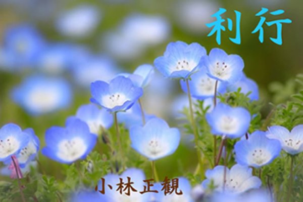 画像3: 小林正観さん言葉はがき集８ (3)