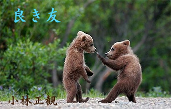 画像5: 小林正観さん言葉はがき集８ (5)