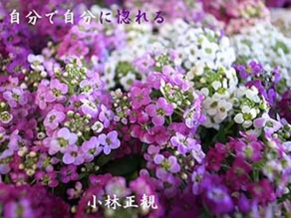 画像4: 小林正観さん言葉はがき集８ (4)