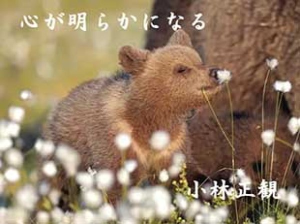 画像5: 小林正観さん言葉はがき集11 (5)