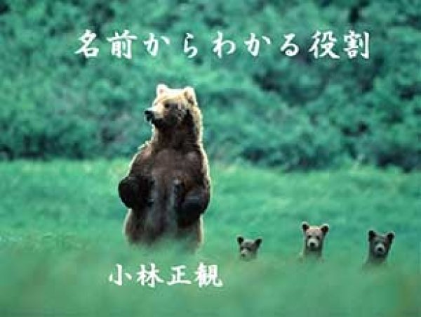 画像6: 小林正観さん言葉はがき集11 (6)