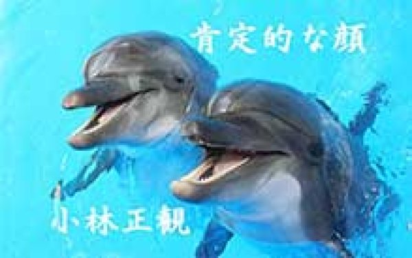 画像7: 小林正観さん言葉はがき集11 (7)