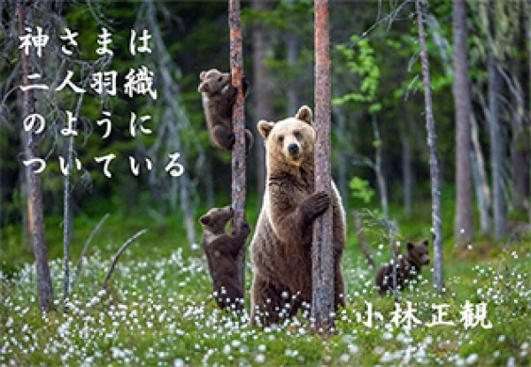 画像13: 小林正観さん言葉はがき集11 (13)