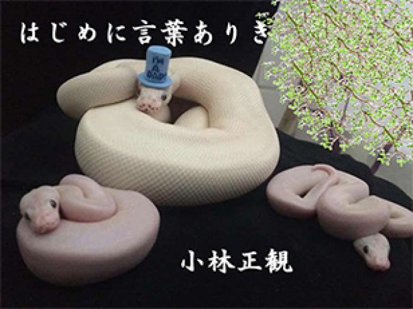 画像3: 小林正観さん言葉はがき集11 (3)