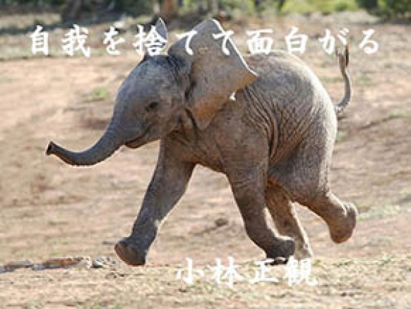 画像9: 小林正観さん言葉はがき集11 (9)