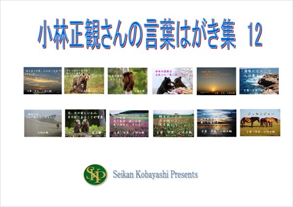 画像1: 小林正観さん言葉はがき集12 (1)