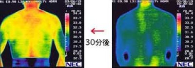 画像1: たまたましい【メール便可】