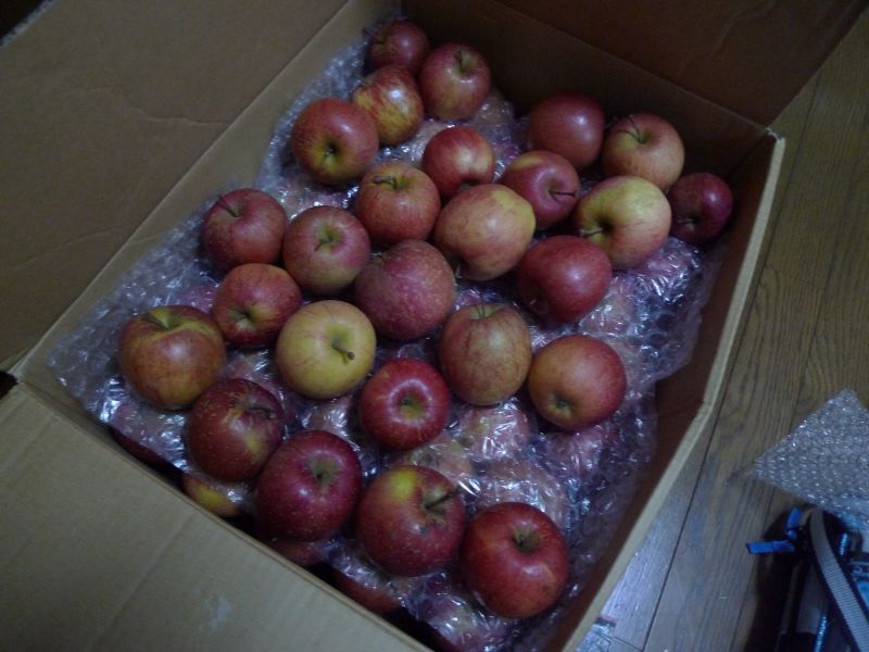 SKP農産物直販同盟のおいしいリンゴが届きました。