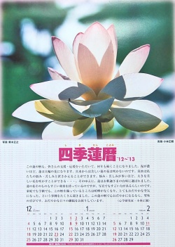 蓮の花のカレンダーの効果