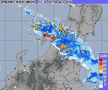 新潟も大雨です。