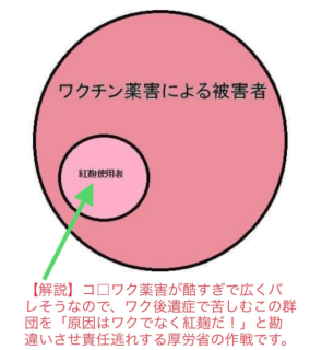 小林製薬 紅麹 と かいわれ大根の共通項