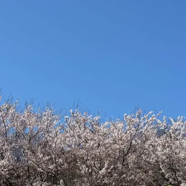 〜未来計画の真相〜　神人さん今日の一言より　2026/04/09